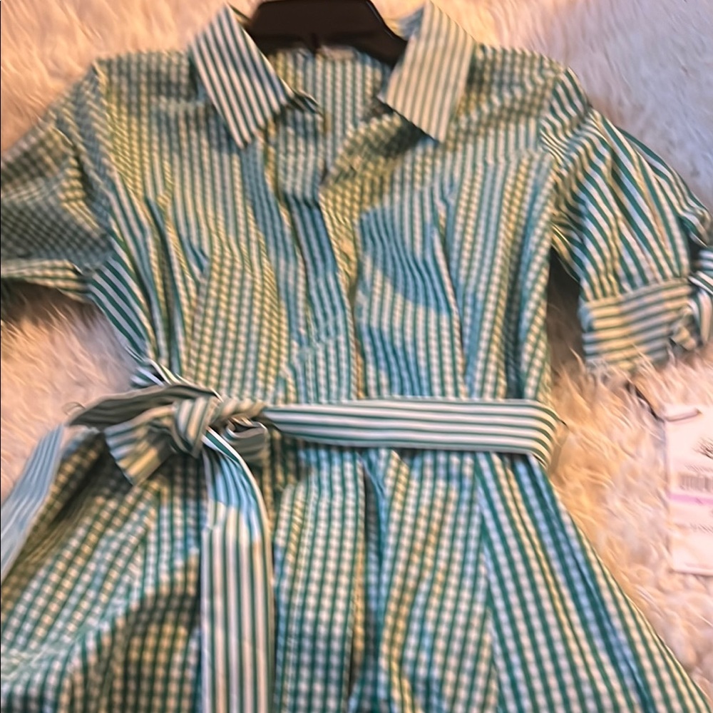 Green Gingham Shirt Dress